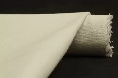 CANVAS1