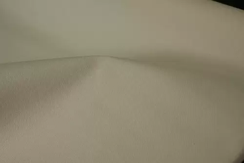 CANVAS2